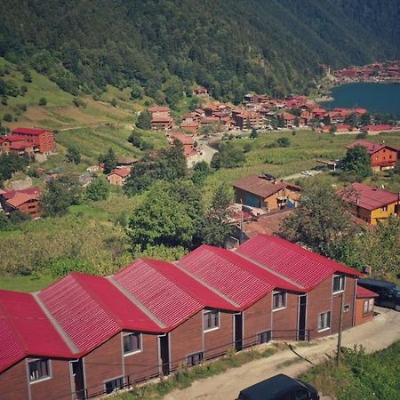 Horio Villa Uzungöl Exterior photo