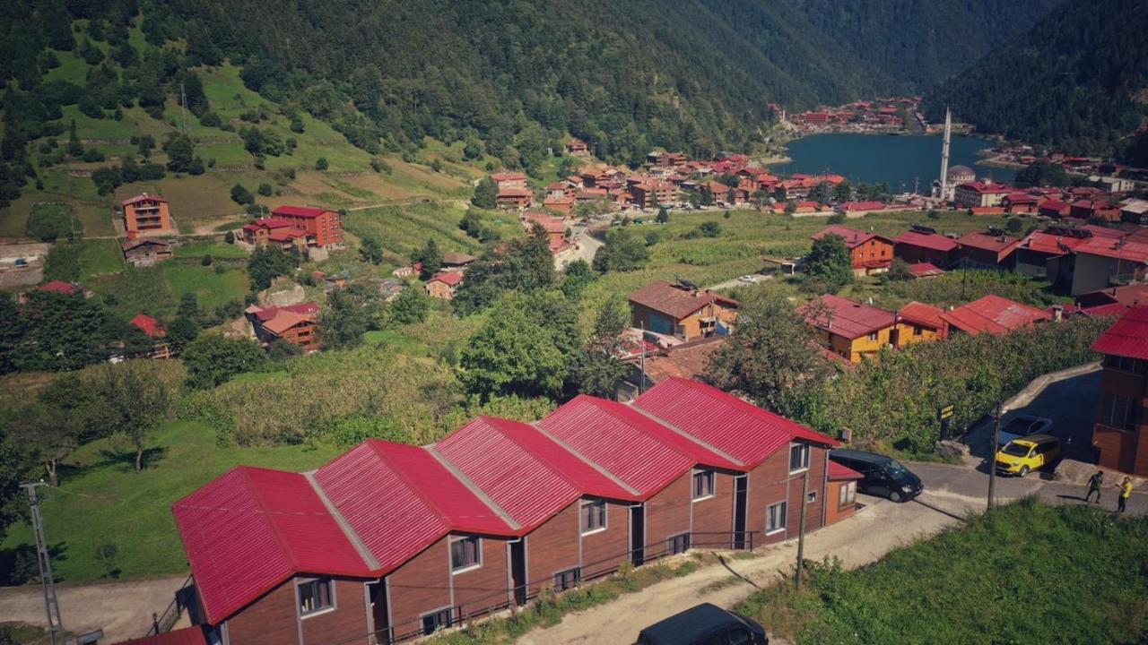 Horio Villa Uzungöl Exterior photo