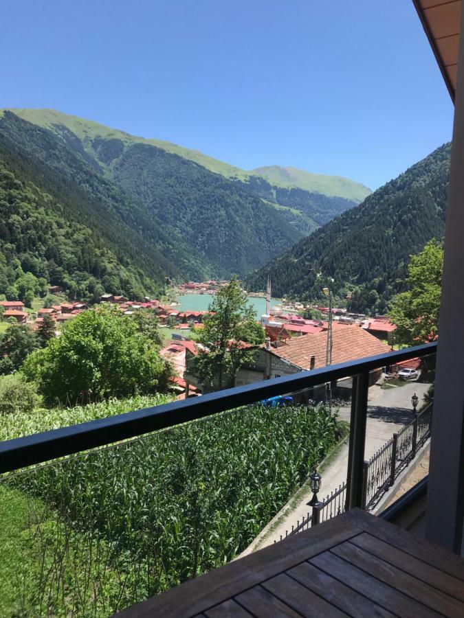 Horio Villa Uzungöl Exterior photo